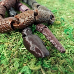 関節式ヘビ、3Dプリント、ミッドナイトマジック