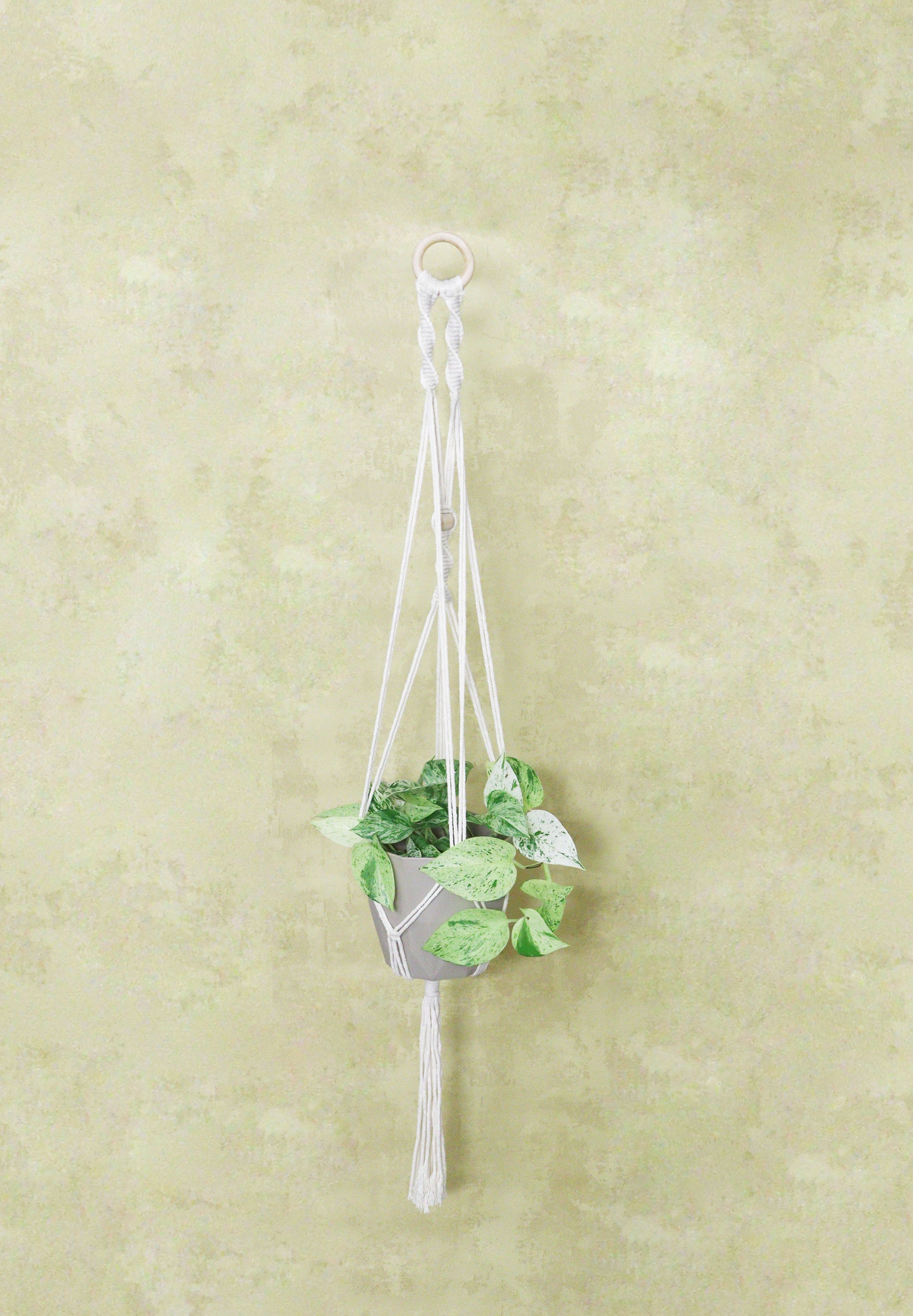 Suspension Macramé Pour Plante d'intérieur | 100% Coton & Fait Main Décoration Murale