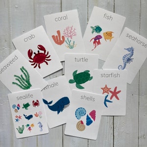 Sealife flashcards
