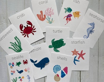 Sealife flashcards