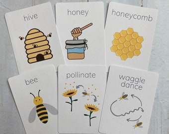 Bee Flashcards
