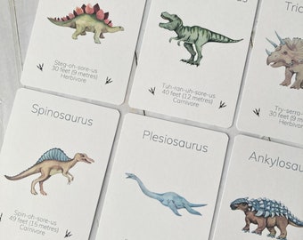Dinosaur Flashcards
