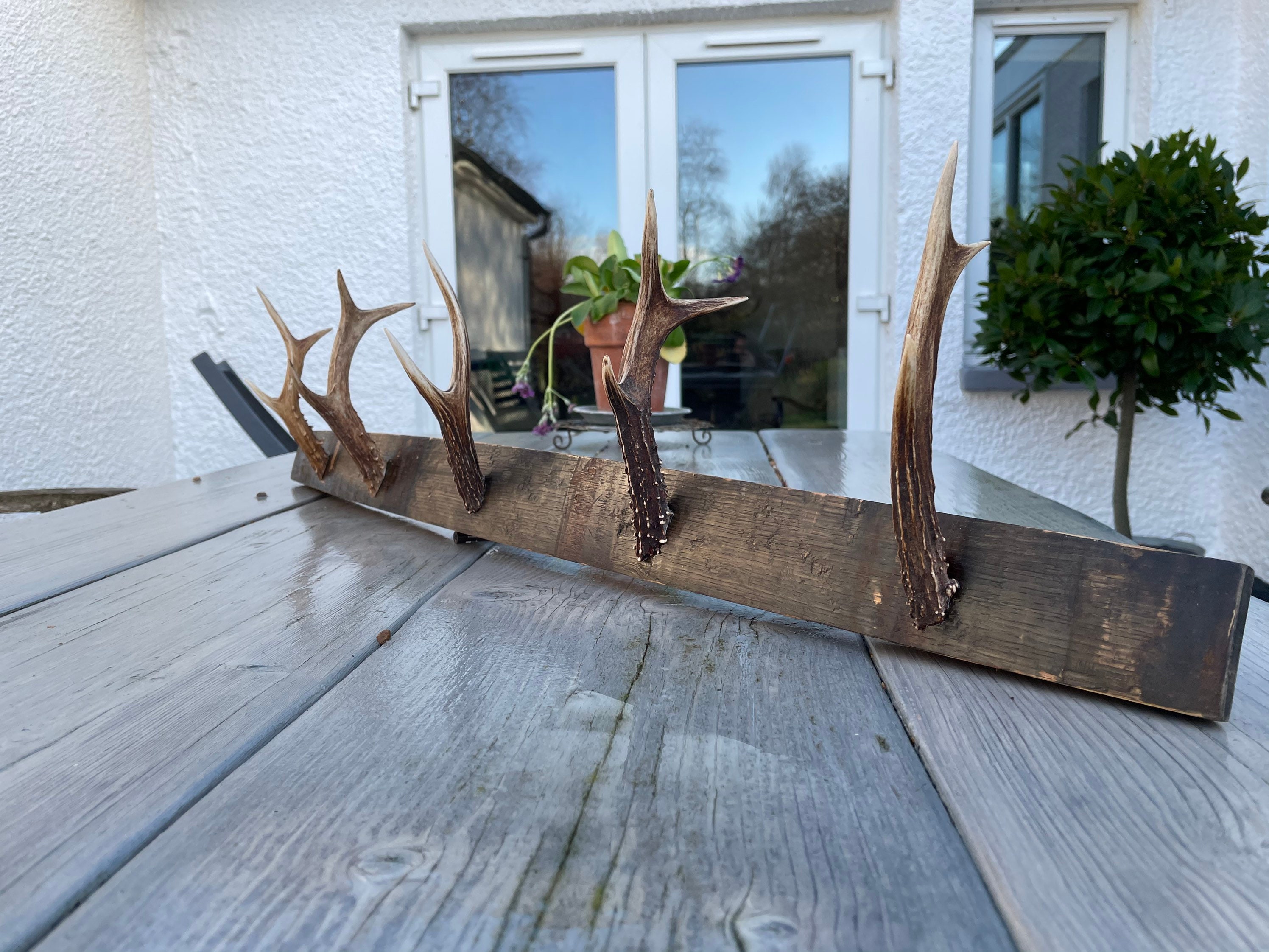 Deer Antler Coat Hooks Mounted on Full Whisky Barrel Stave Etsy
