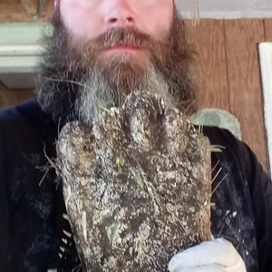 Pu&ograve; includere: Un uomo con una lunga barba tiene in mano un grande oggetto ruvido, marrone e verde, con un guanto. L'oggetto ha una superficie testurizzata e sembra essere fatto di materiali naturali.