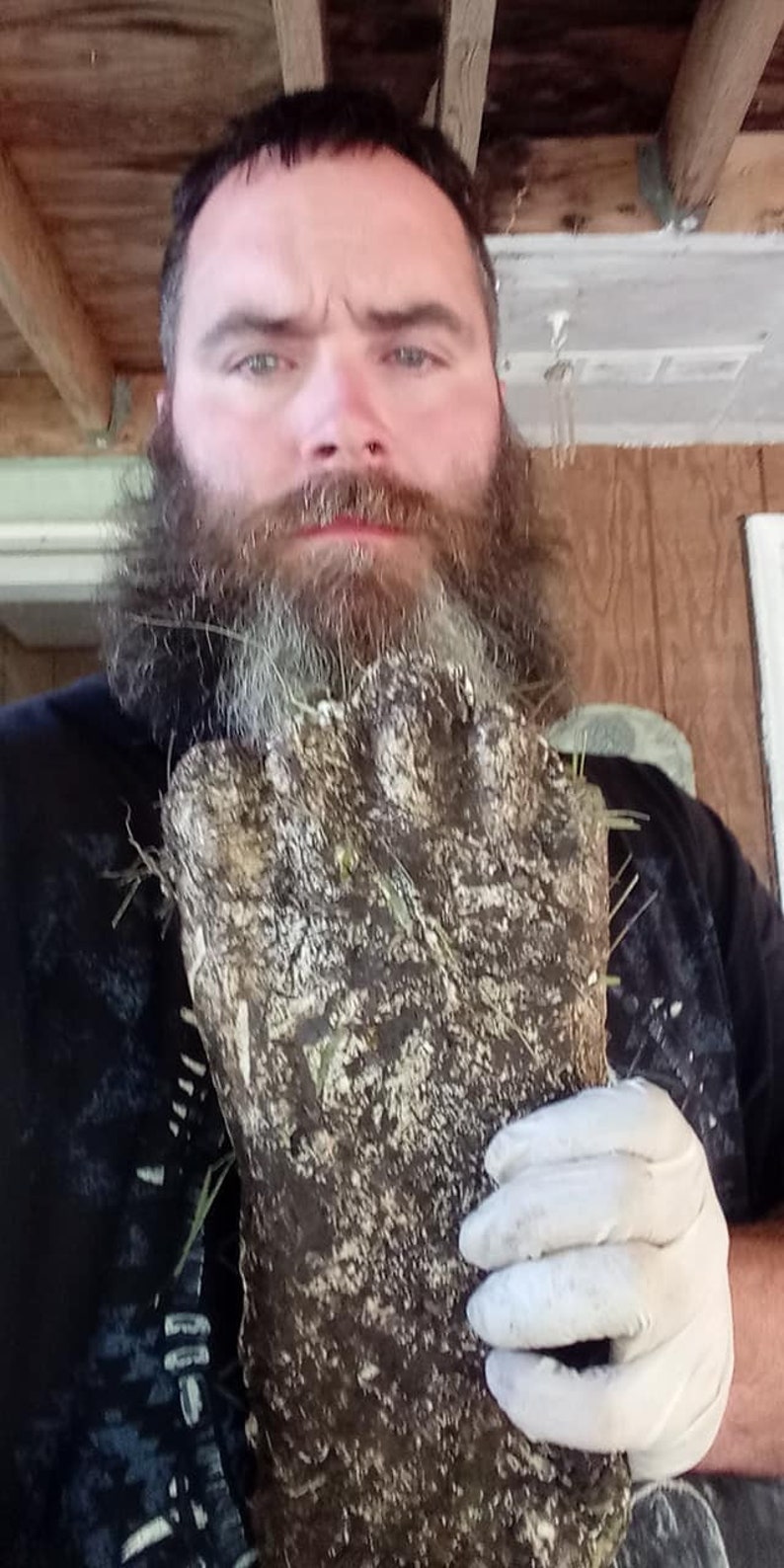 Pu&ograve; includere: Un uomo con una lunga barba tiene in mano un grande oggetto ruvido, marrone e verde, con un guanto. L'oggetto ha una superficie testurizzata e sembra essere fatto di materiali naturali.