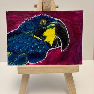 May include: A small, colorful painting of a blue and yellow macaw parrot on a wooden easel. The parrot's head is in profile, with a black beak and a yellow patch. The background is a deep magenta color.