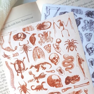 Bones and Venom Planner Sticker Sheet Waterproof Vinyl - Vintage Retro Aesthetic Journal Scrapbooking Skeleton Snakes Poisonous Bugs Insects