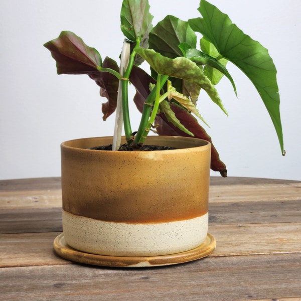 Sunset Orange Drippy Handmade Stoneware Ceramic Plant Pot with Drainage Holes and Drip Tray - Rustic Feel, Homely