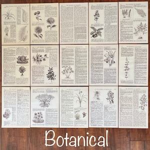 May include: A collection of 10 vintage botanical illustrations, each featuring a different plant or flower. The illustrations are in black and white and have a detailed, scientific style. The illustrations are printed on paper with a textured surface. The text on the pages is in a small font and is difficult to read. The title of the book is "The Dictionary of Gardening".