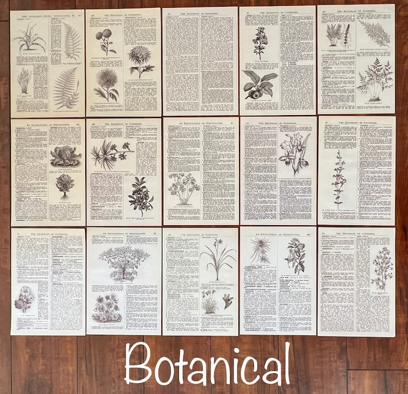 May include: A collection of 10 vintage botanical illustrations, each featuring a different plant or flower. The illustrations are in black and white and have a detailed, scientific style. The illustrations are printed on paper with a textured surface. The text on the pages is in a small font and is difficult to read. The title of the book is "The Dictionary of Gardening".