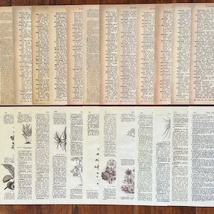 May include: A collection of vintage botanical illustrations from a book titled "The Dictionary of Gardening". The illustrations depict various plants and flowers, including a fern, a flower with five petals, a flower with multiple petals, and a flower with a long stem and three leaves.