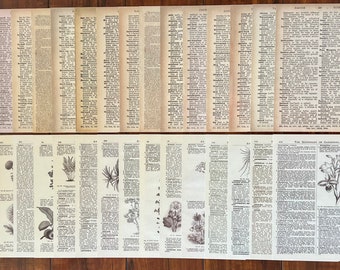 Junk Journal Papers, Botanical  Ephemera, Dictionary Pages, Scrapbook Supplies, Assorted Paper, Junk Journal Ephemera, 30 Pcs (YHC-85-004)