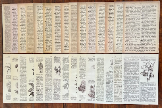 Junk Journal Papers, Botanical  Ephemera, Dictionary Pages, Scrapbook Supplies, Assorted Paper, Junk Journal Ephemera, 30 Pcs (YHC-85-004)