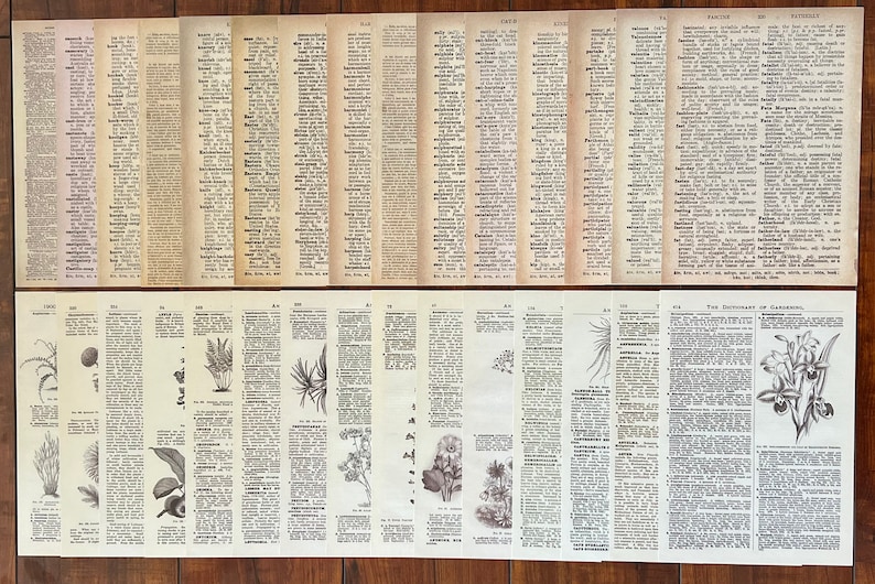 May include: A collection of vintage botanical illustrations from a book titled "The Dictionary of Gardening". The illustrations depict various plants and flowers, including a fern, a flower with five petals, a flower with multiple petals, and a flower with a long stem and three leaves.
