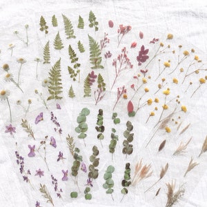 Clear Botanical Stickers,  Floral Stickers, Flower Stickers,  Journal Stickers, Planner Stickers, Scrapbooking Stickers