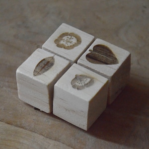Onagre rose et feuilles - tampons en bois