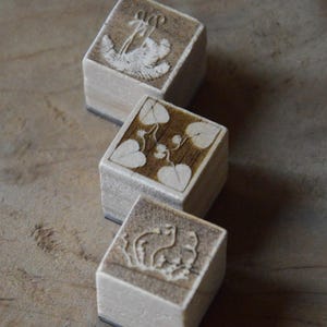 Fantasías botánicas - sellos de madera