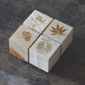 Op de afbeelding: Vier vierkante houten blokken in een groepje, elk met een apart bruin gegraveerd botanisch ontwerp op de bovenzijde, waaronder een ginkgoblad, een esdoornblad, een dwarsdoorsnede van een granaatappel en een trosje kleine bloemen.