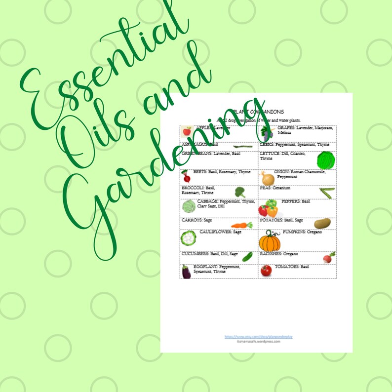 Essential Oils and Gardening Cheat Sheet / Poster / chart / Planner Companion Gardening Gardening Pests Garden Pollinators image 4