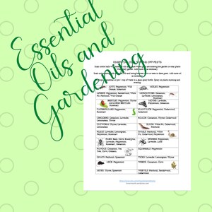 Essential Oils and Gardening Cheat Sheet / Poster / chart / Planner Companion Gardening Gardening Pests Garden Pollinators image 3