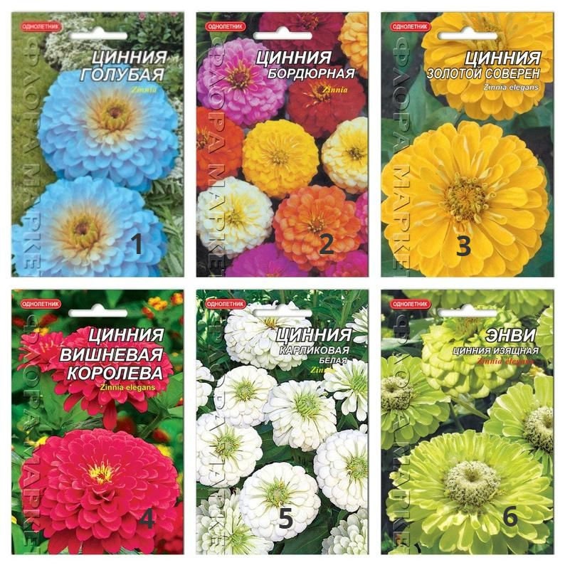 Zinnia Rare Flower Seeds Set of 6 packets with different kinds Etsy