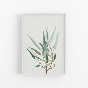 Grey Eucalyptus Gum Print | Dried Gum Leaves, Botanical Illustration, Native Australian Flora, Gum Leaves Wall Art, Modern Minimalist Poster
