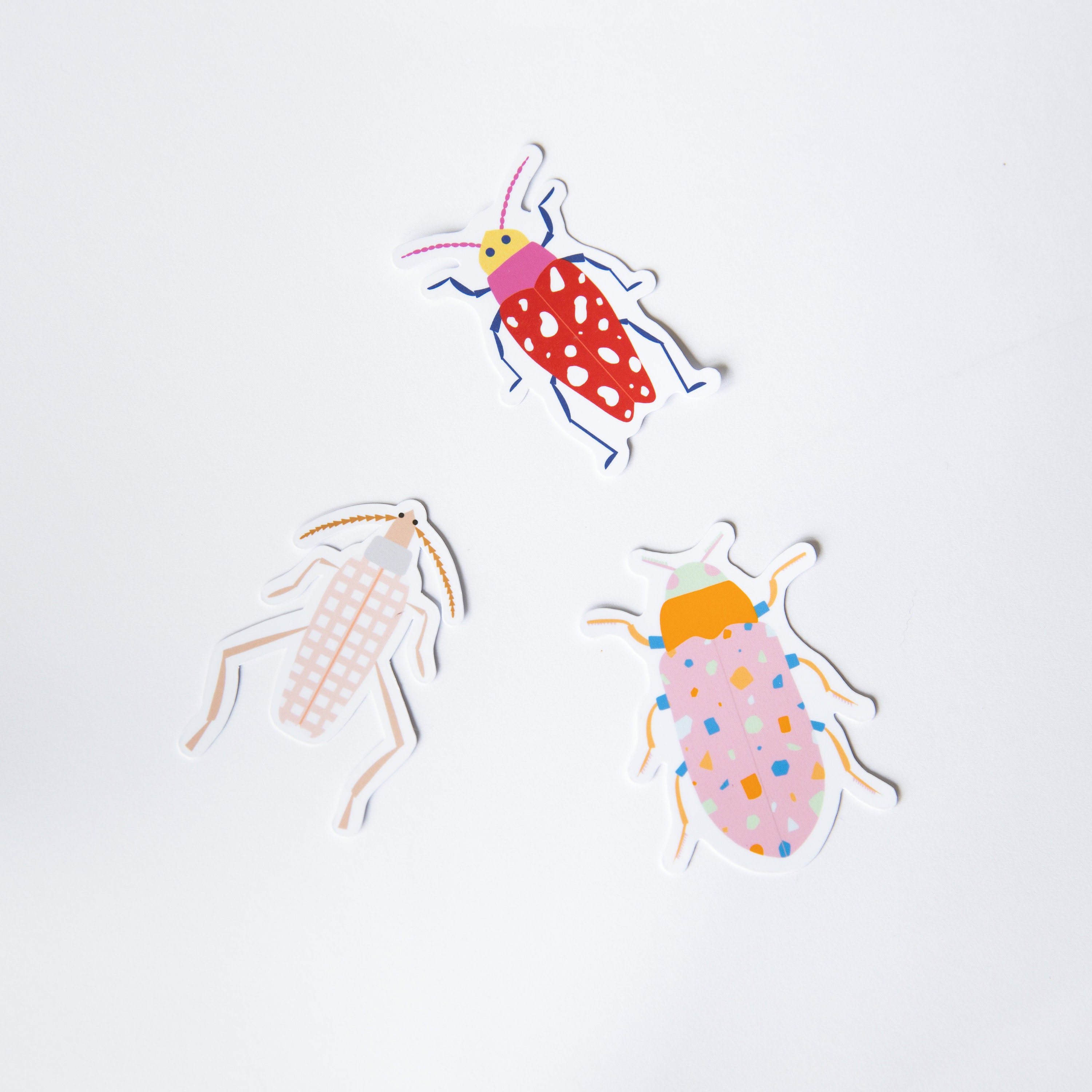Beetle Sticker Pack Insect Sticker Set Insect Die Cut | Etsy