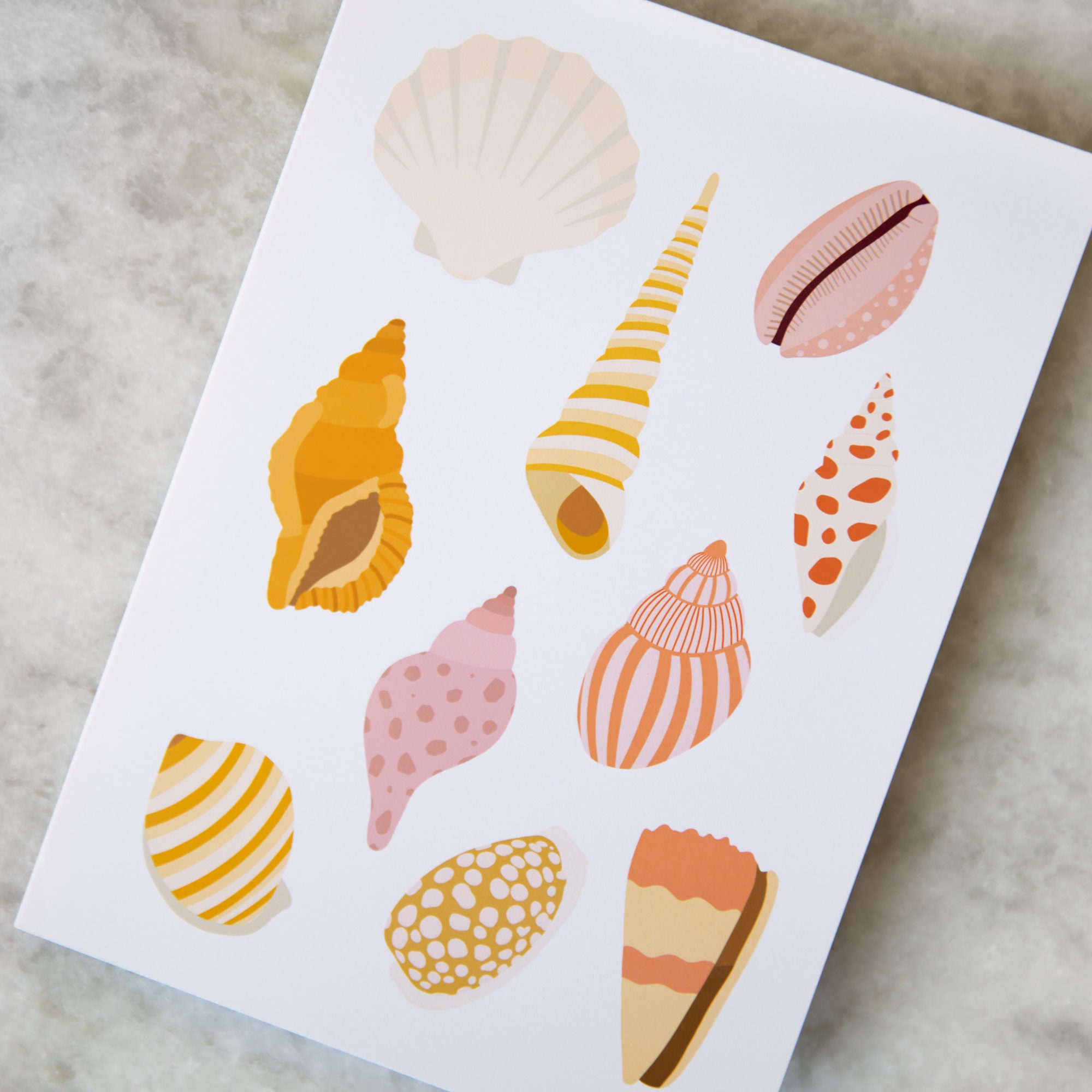 Seashell Card A6 Shell Greeting Card Seaside Card Coastal - Etsy