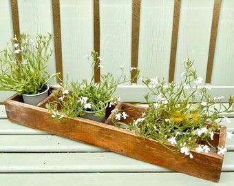 Rustic Wooden Planter | Herb Planter | Vintage Garden Decor | Succulent Planter | Rustic Shelves | Wooden Shelf | Greenhouse Decor