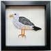 see more listings in the Quilling section