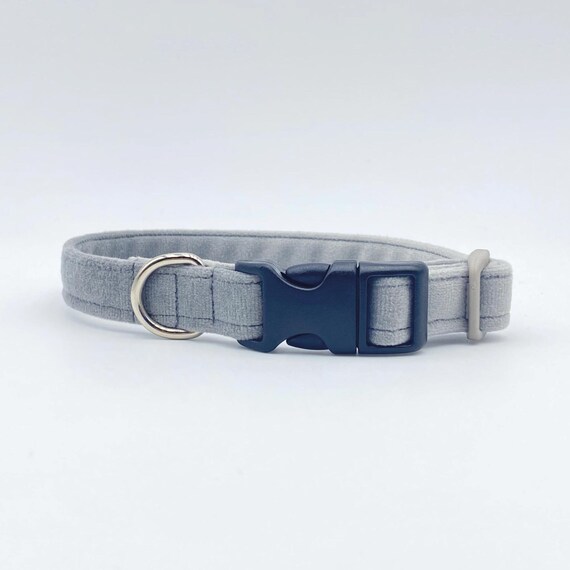 Grey puppy collar discount