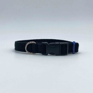 以下が含まれることがあります： 銀色の金属製のDリングと黒いプラスチック製のバックルが付いた黒い犬の首輪。首輪には青いゴムバンドが付いています。