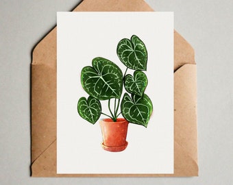 Pflanzen Postkarte A6, Karte Begonia maculata, Grußkarte botanische Illustration, Zimmerpflanze Zeichnung, Topfpflanze Kunstdruck Mini Print