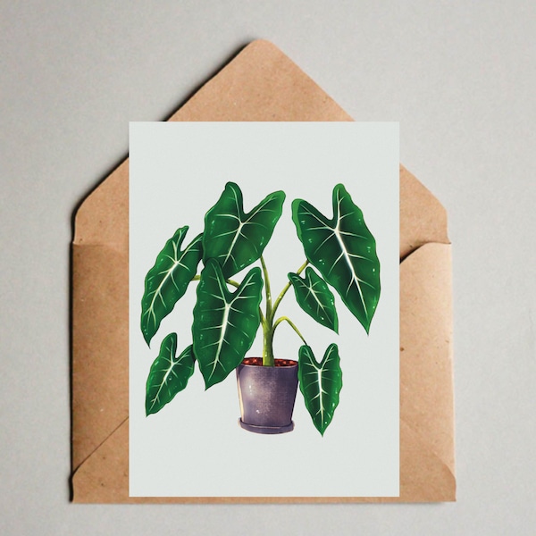 Grußkarte Pflanze Illustration, Postkarte Alocasia Frydek, Botanische Kunst Illustration, Plantmom Zeichnung, Grünpflanze Karte, Geschenk