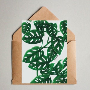 Monstera adansonii Postkarte, Illustration Postkarten Set, Pflanzenliebhaber Geschenkidee, tropisches Design, Plantlady, urban jungle, Blatt