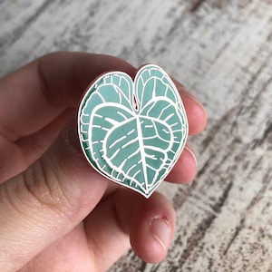 Plant pin, pin Anthurium Clarinervium, pin houseplant, brooch botanical leaf, gift jewelry plant, enamel pin image 1