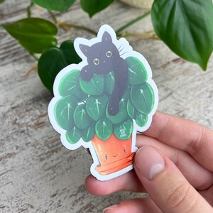 Fridge Magnet Pilea, Black Cat, Houseplant Deco, Kitchen Plant, Plantlady Catlady, Magnet Green, Plantlover, Flowerpot Money Tree image 3