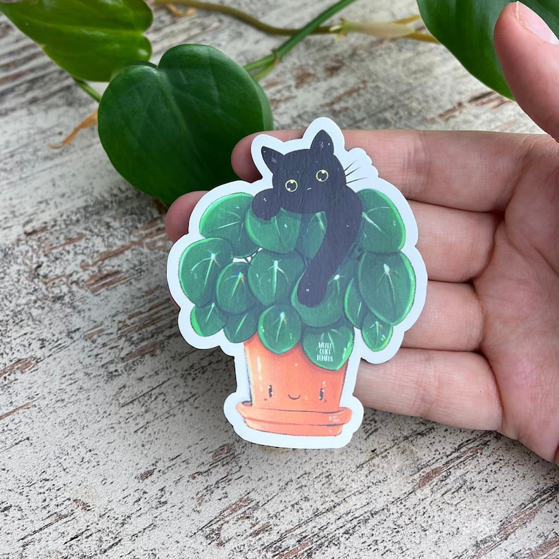 Fridge Magnet Pilea, Black Cat, Houseplant Deco, Kitchen Plant, Plantlady Catlady, Magnet Green, Plantlover, Flowerpot Money Tree image 5