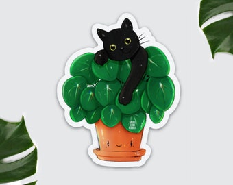 Kühlschrank Magnet Pilea, Schwarze Katze, Zimmerpflanze Deko, Küche Pflanze, Plantlady Catlady, Magnet grün, Plantlover, Blumentopf Geldbaum