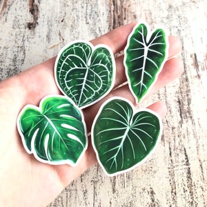 Sticker Set Pflanzen, transparent, wasserfest, Topfpflanze, Monstera, Anthurium, Alocasia, Philodendron, botanical Aufkleber Bullet Journal