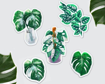 Kühlschrankmagnet Monstera Variegata, Adansonii variegata, Pflanzen Magnet, Monstera deliciosa, Geschenk für Plantlady oder Plantmom