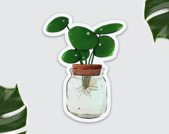 Kühlschrank Magnet Zimmerpflanze, Pilea Magnet, Topfpflanze Küche Deko, Pflanze kleines Geschenk, Plantlover, Einzug WG, Geldbaum