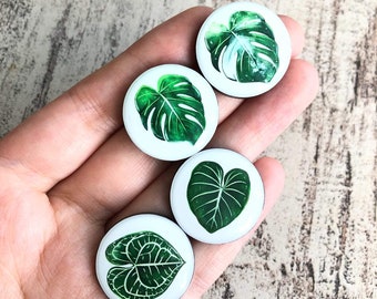 Kühlschrank Magnet Set Pflanze, Monstera variegata blatt, runde Magnete, Philodendron gloriosum, Topfpflanze Deko Küche, Geschenk Pflanze