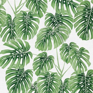 Baumwollstoff Monstera Muster, Botanischer Dekostoff, Tropische  Illustration, Watercolor Druck, Urban Jungle, Nhstoff Pflanzen, Plantlady  - Etsy.de