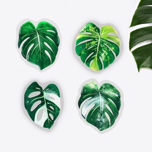 Sticker Pack Pflanzen, Monstera aurea, Monstera adansonii variegata, transparent vinyl Sticker Set, Plantlover, Laptop Handy botanische Deko