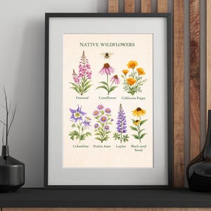 May include: Framed print featuring watercolor illustrations of native wildflowers, including Fireweed, Coneflower, and California Poppy. The print is labeled "NATIVE WILDFLOWERS" and includes a small bee illustration above the flower names.