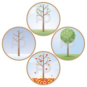 Changes_Four Seasons, Spring, Summer, Fall, Winter, Seasons, Tree, Nature, Changes Theme, Printable Art