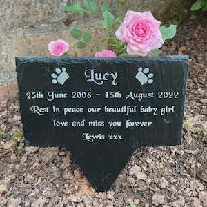 Op de afbeelding: Een zwarte leisteen gedenksteen voor een huisdier met de naam "Lucy" en data, omringd door roze rozen. De steen bevat de tekst "Rust in vrede onze mooie baby, liefde en mis je voor altijd, Lewis xxx."