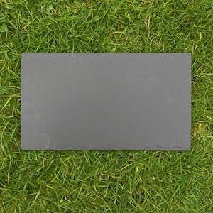 May include: A rectangular, dark gray slate serving board. The slate has a natural, textured surface and is set against a backdrop of green grass. This board is suitable for serving appetizers or displaying food.