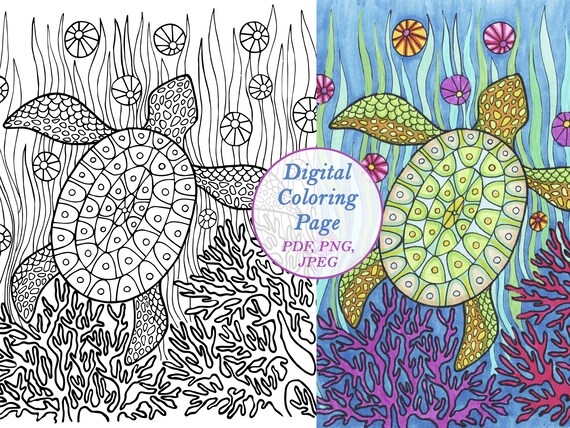 Sea Turtle Adult Coloring Pages Printable PDF Hand Drawn - Etsy